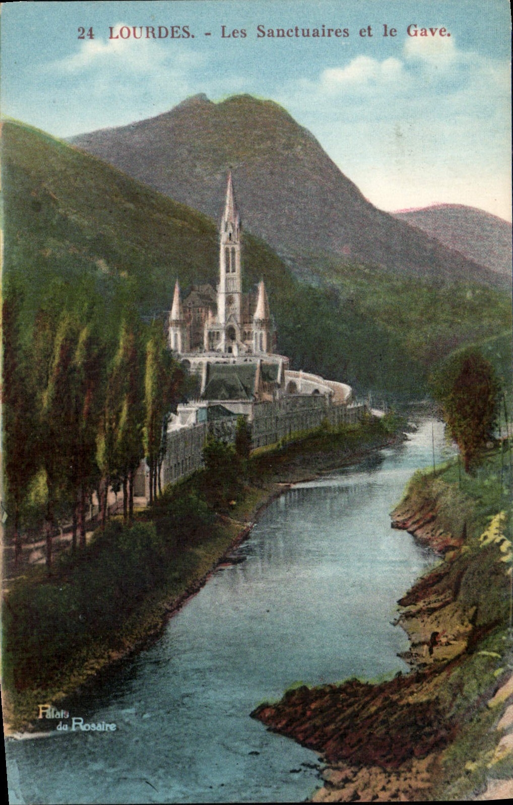 CPA Lourdes Les Sanctuaires et le Gave 