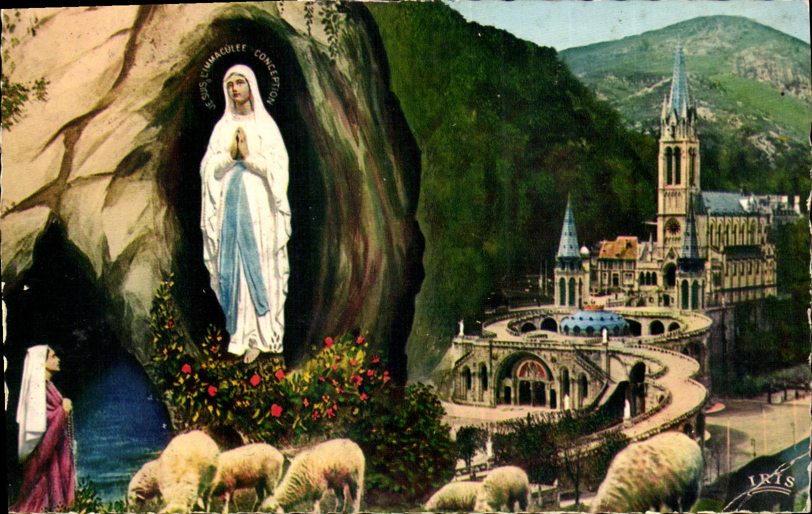 CPA Lourdes La Basilique et l'Apparition 