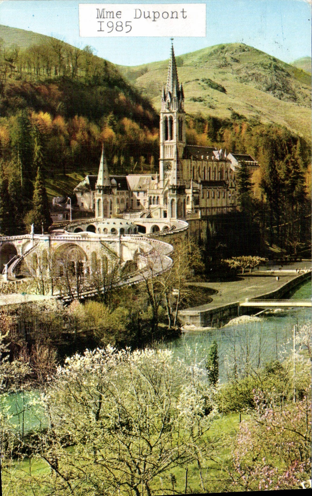 CPA Lourdes La Basilique et le Gave 