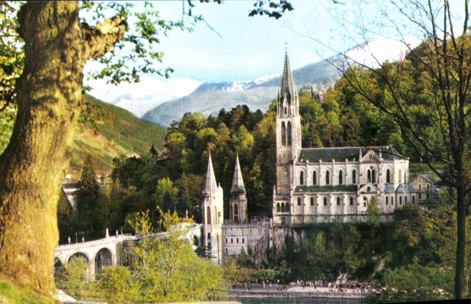 CPA Lourdes La Basilique et le Pic du Jer 