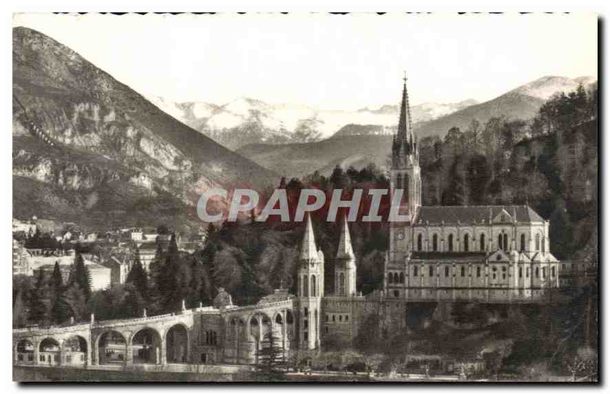 CPA Lourdes La Basilique 