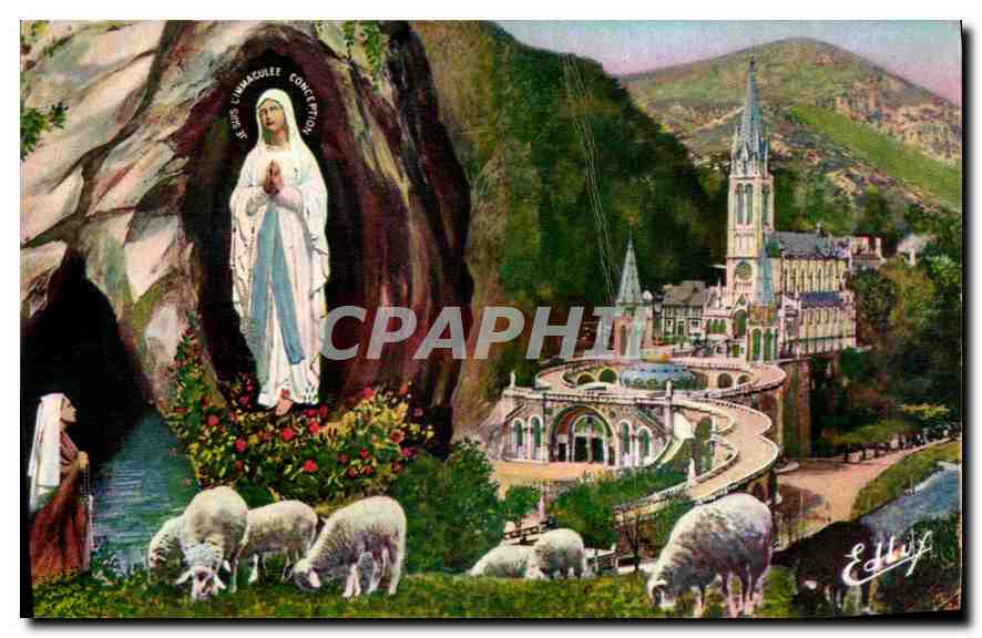 CPA Lourdes La Basilique et L'Apparition 