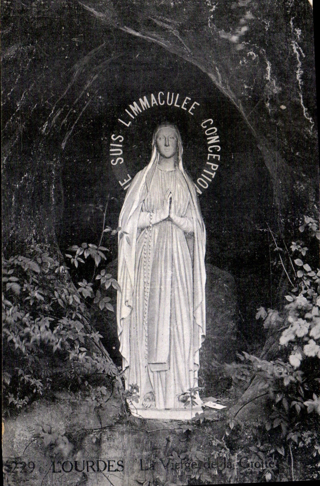 CPA Lourdes La Vierge de la Grotte 