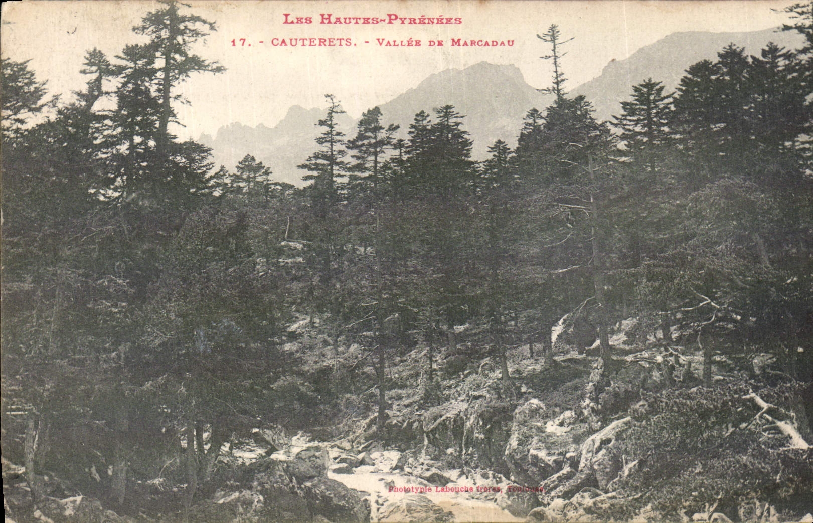 CPA Les Hautes Pyrenees Cauterets Vallee de Marcadau 