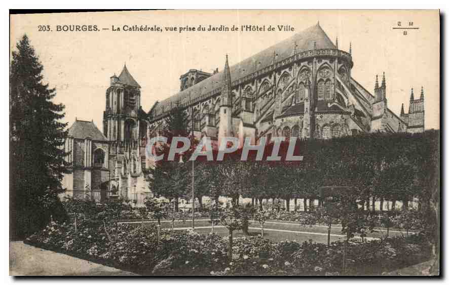 CPA Bourges la Cathedrale vue prise du Jardin de l'Hotel de Ville 