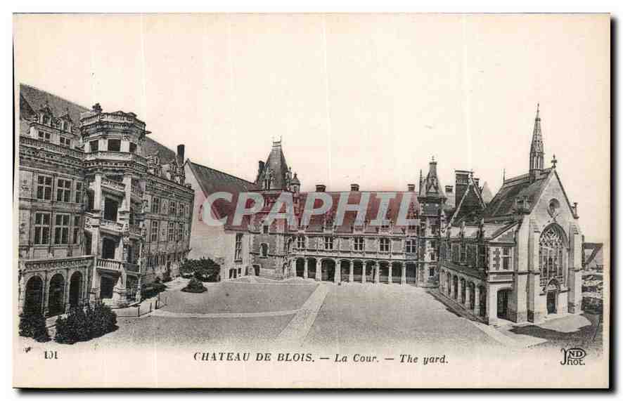 CPA Chateau de Blois la Cour 