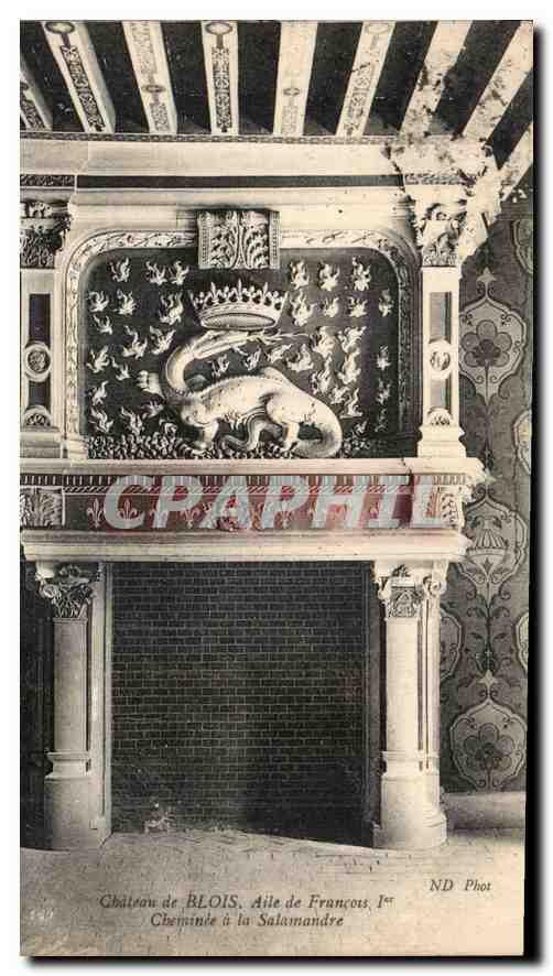 CPA Chateau de Blois Aile de Francois Ier Cheminee a la Salamandre 