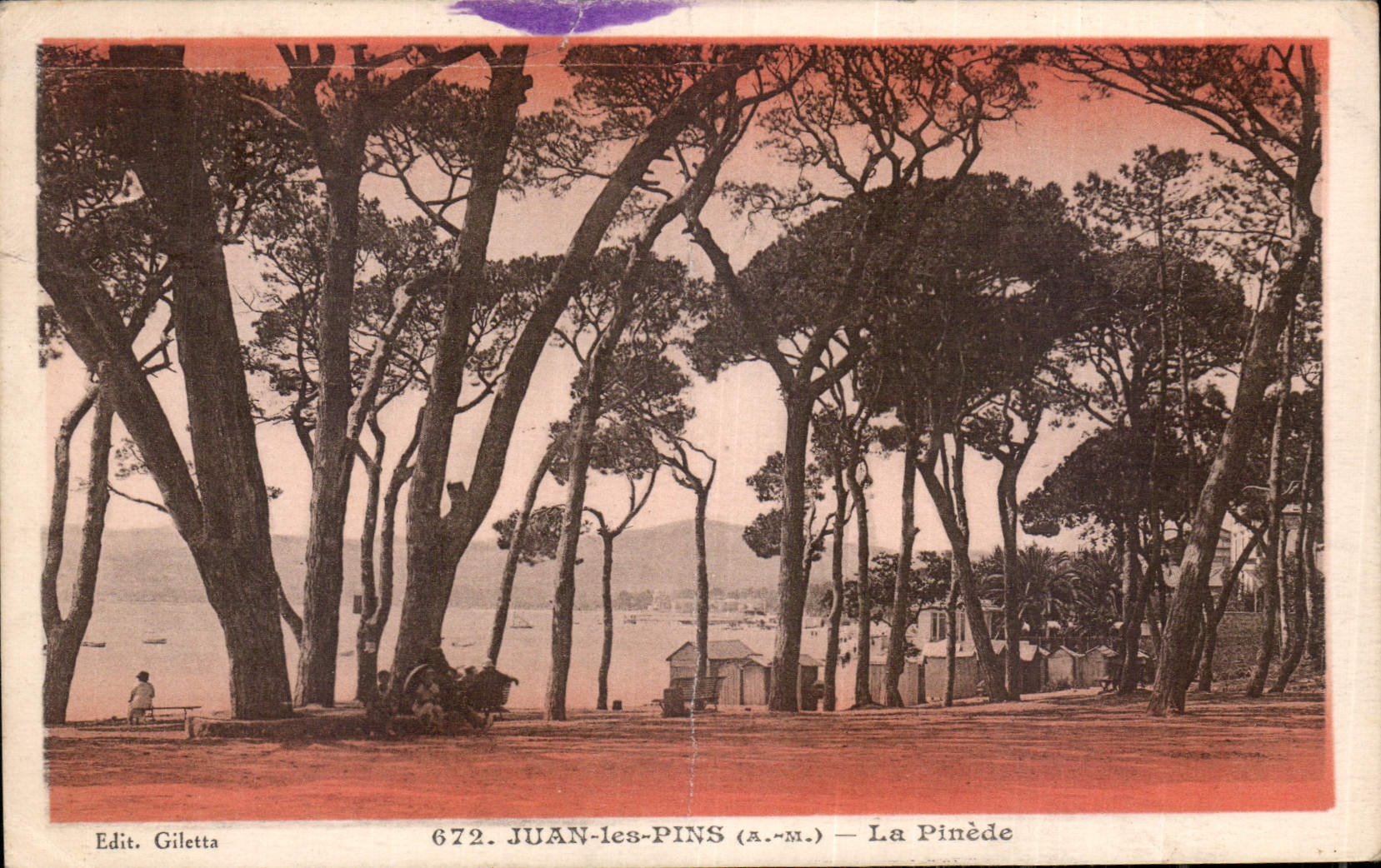 CPA Juan les Pins A M la Pinede 