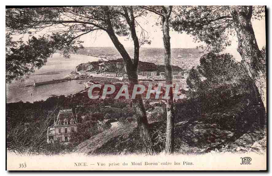 CPA Nice vue prise du Mont Boron ontre les Pins 