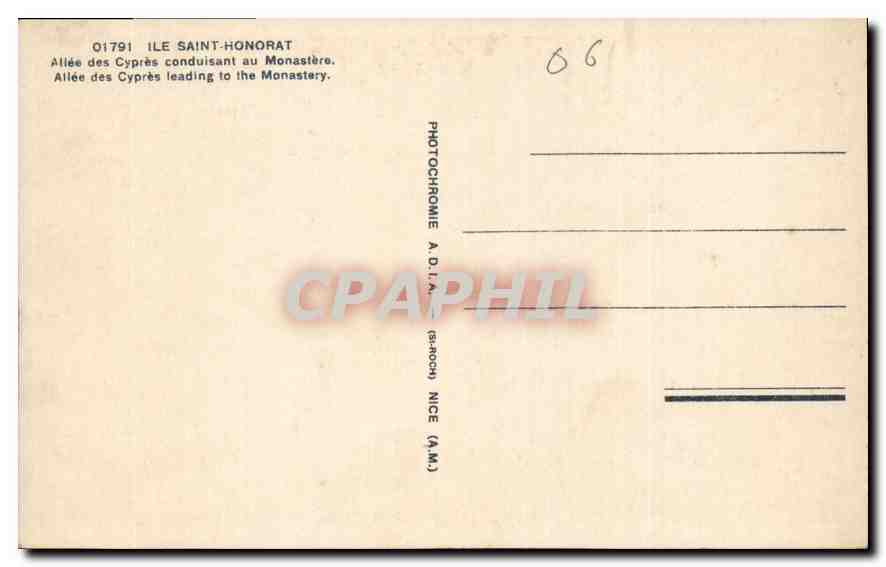CPA Ile Saint Honorat Allee des Cypres conduisant au Monastere  — Rückseite