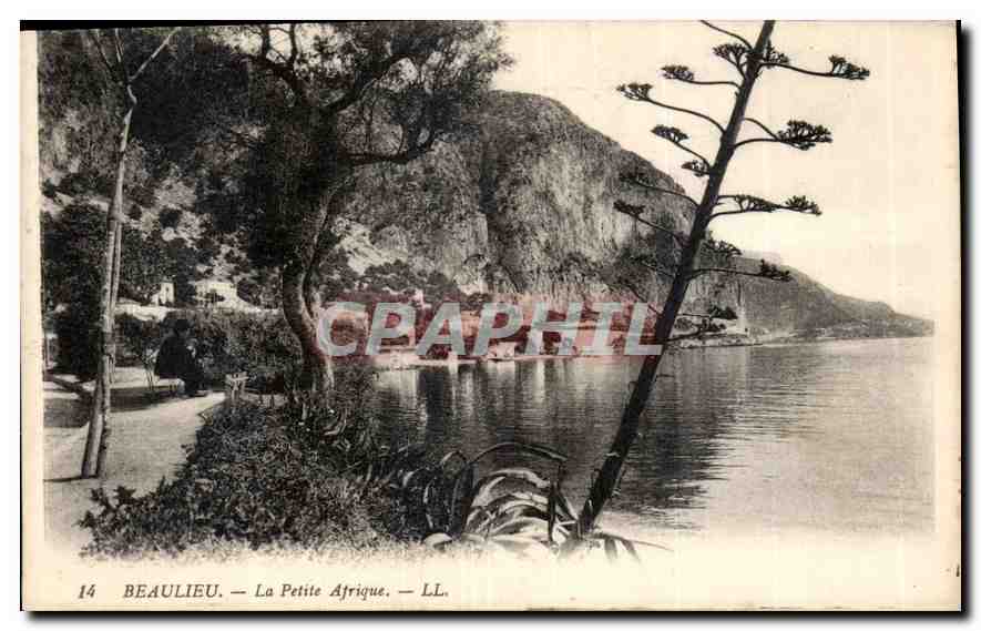 CPA Beaulieu la Petite Afrique 