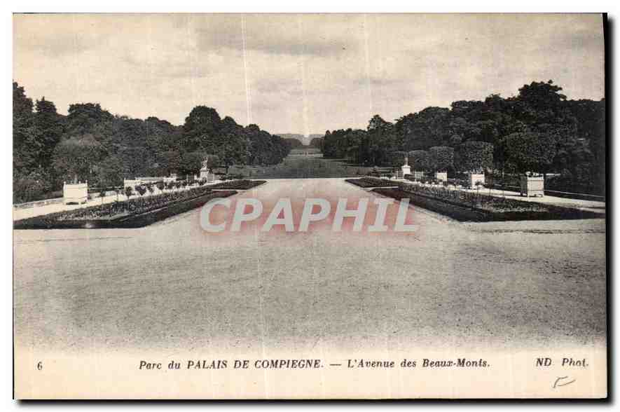 Parc du Palais de Compiègne — L'Avenue des Beau-Monts — ND. Phot.
