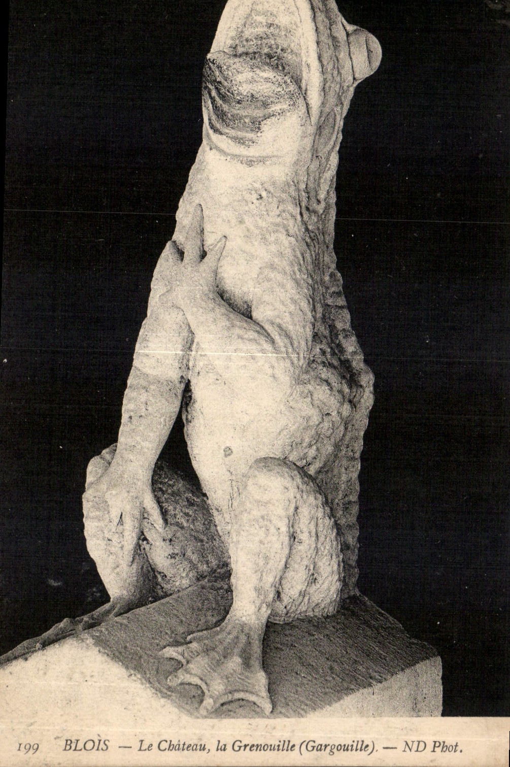 CPA Blois le Chateau la Grenouille Gargouille 