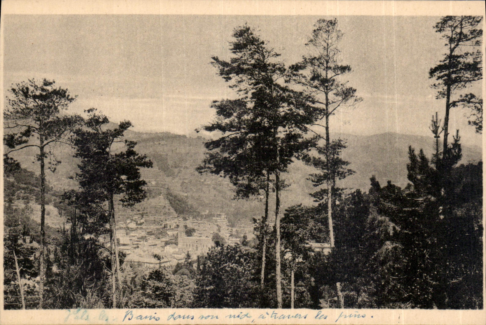 Vais-les-Pins — Vue du village à travers les pins — Levy & Neurden, Imp. Paris