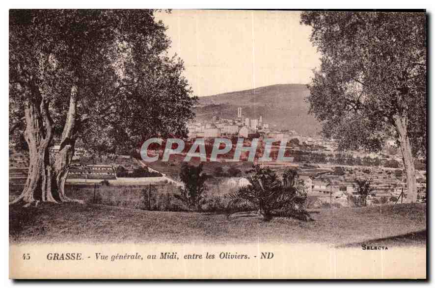 CPA Grasse vue generale au Midi entre les Oliviers 
