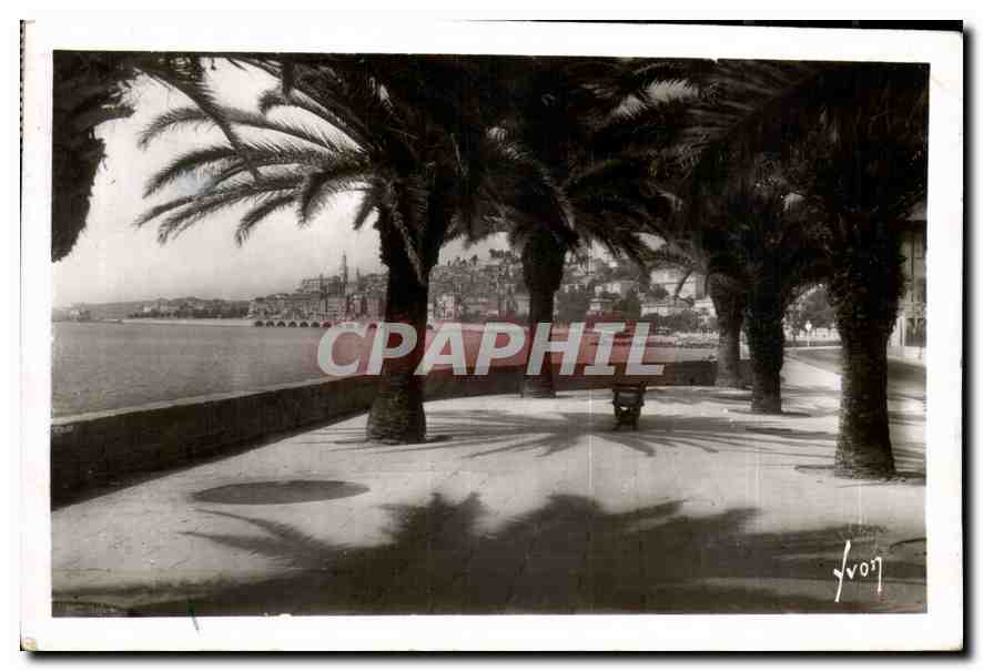 CPA Menton Alpes Mmes la vile vue a travers les Palmiers 