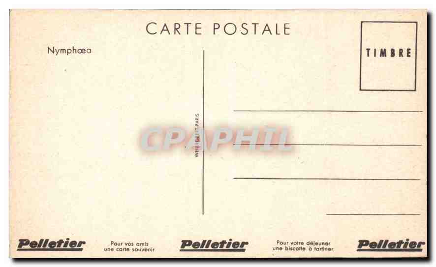CPA Nymphoea pour vos amis une carte souvenir  — Rückseite