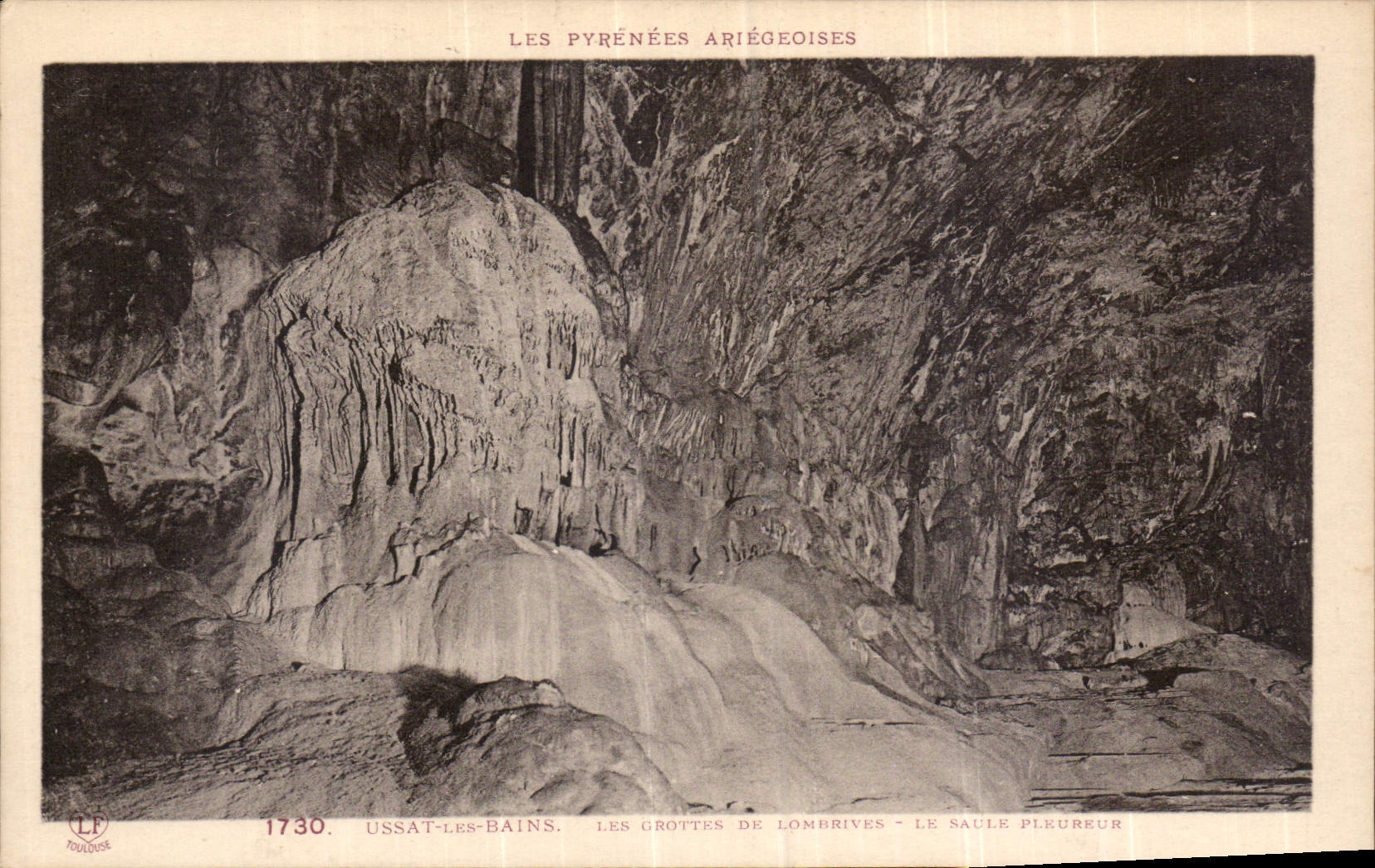 CPA Les Pyrenees ariegeoises Ussat les Bains les Grottes de Lombrives le saule pleureur 