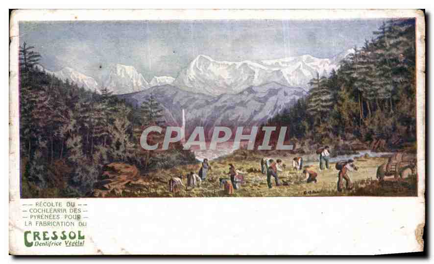 CPA Montagne Publicite Dentifrice Cressol 