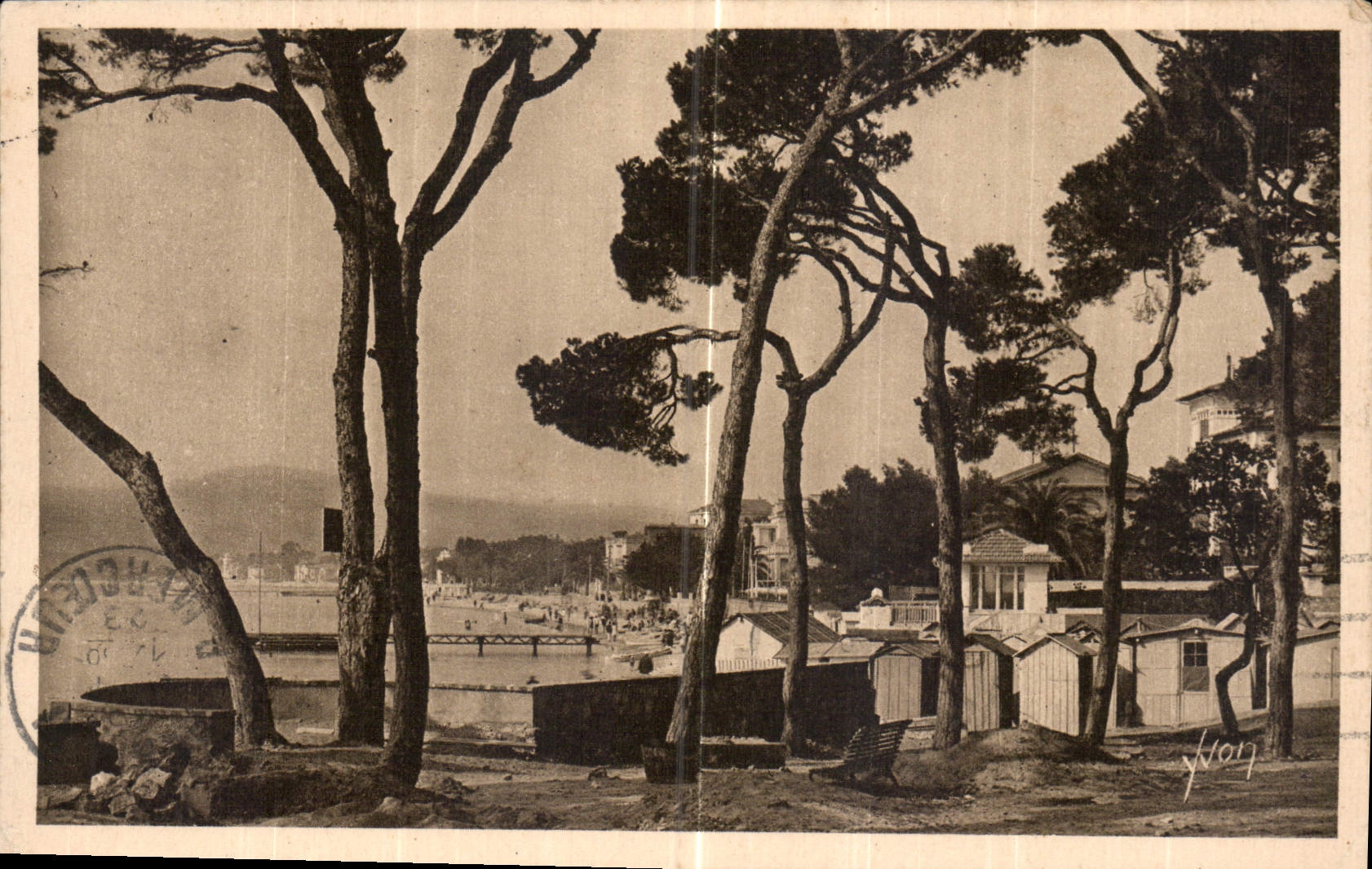 CPA Cote d'Azur Juan les Pins la Plage vue a travers les Pins 