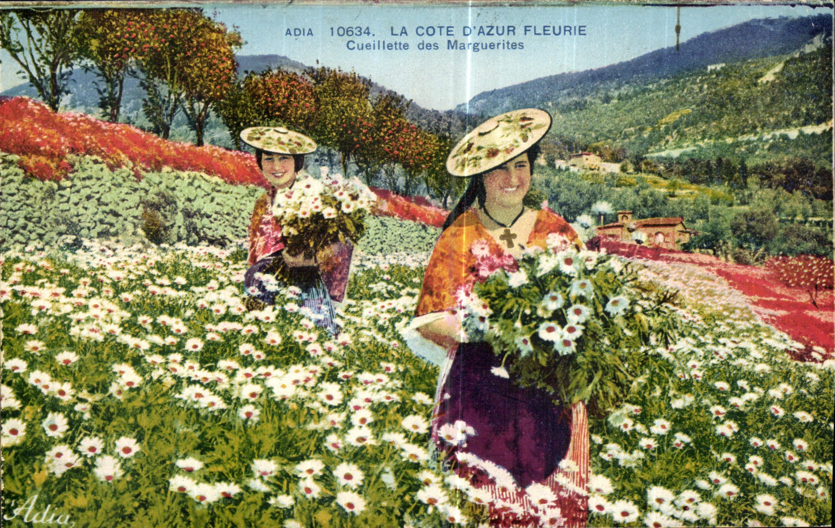 CPA La Cote d'Azur fleurie Cueillette des Marguerites Femme Folklore