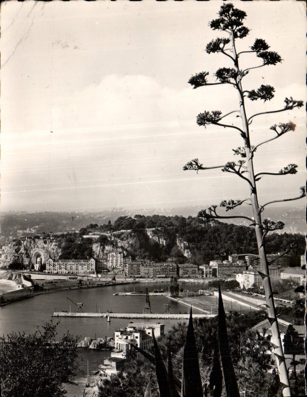 CPA Nice vue generale sur le port et la Colline du Chateau 