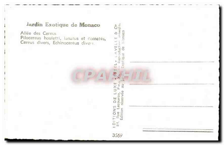CPA Jardin Exotique de Monaco Allee des Cereus  — Rückseite