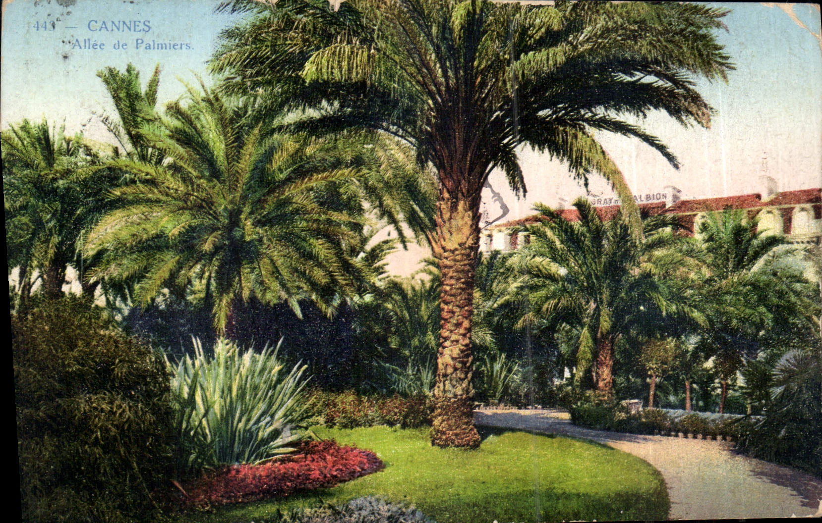 CPA Cannes Allee de Palmiers 