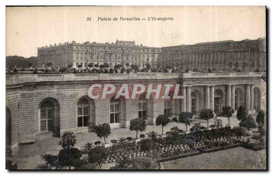 CPA Palais de Versaille l'Orangerie 