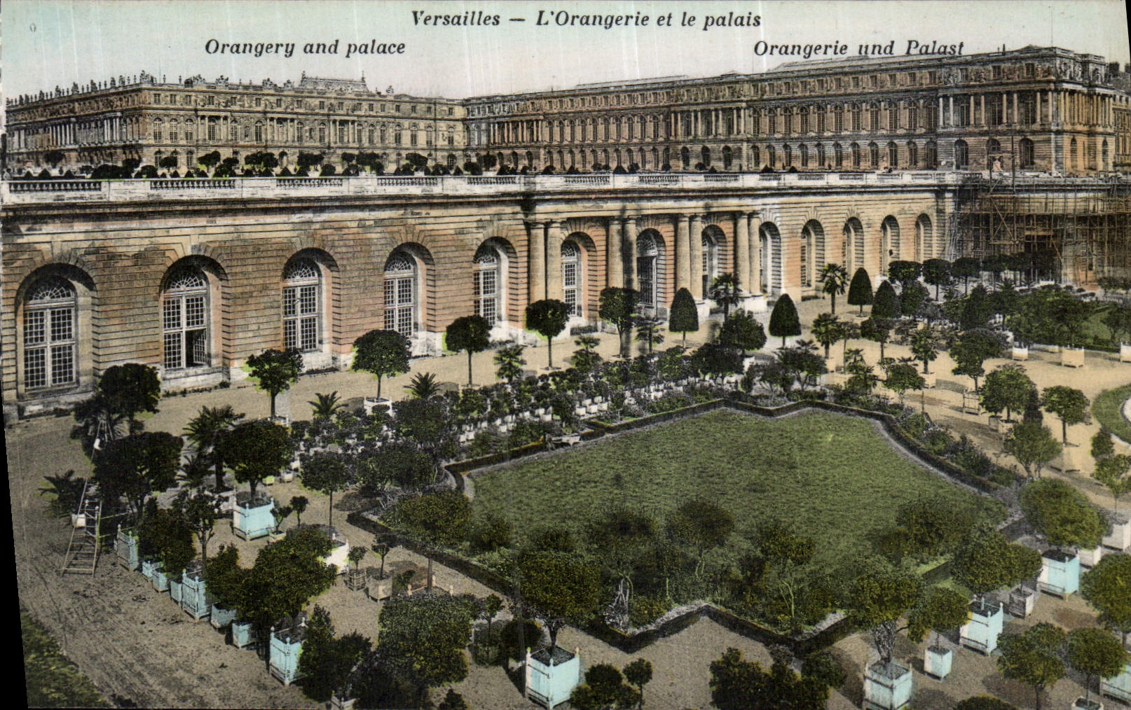 CPA Versailles l'Orangerie et le Palais 
