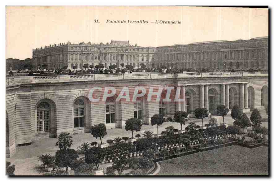 CPA Palais de Versailles l'Orangerie 