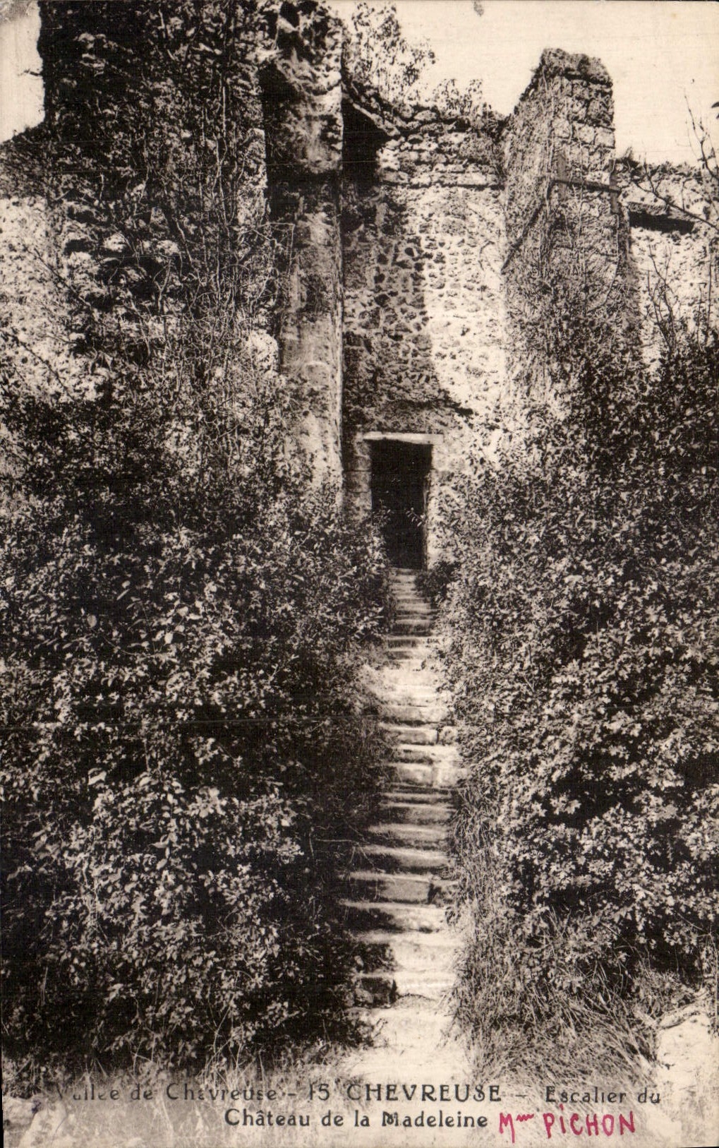 CPA Allee de Chevreuse Chevreuse Escalier du Chateau de la Madeleine 