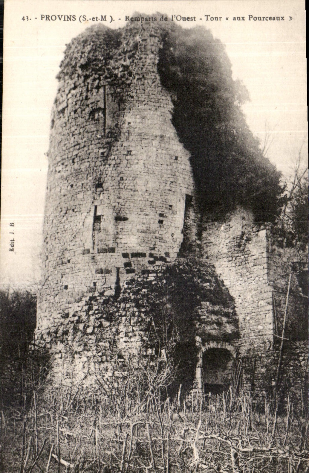 CPA Provins S et M remparte de l'Ouest tour aux Pourceaux 