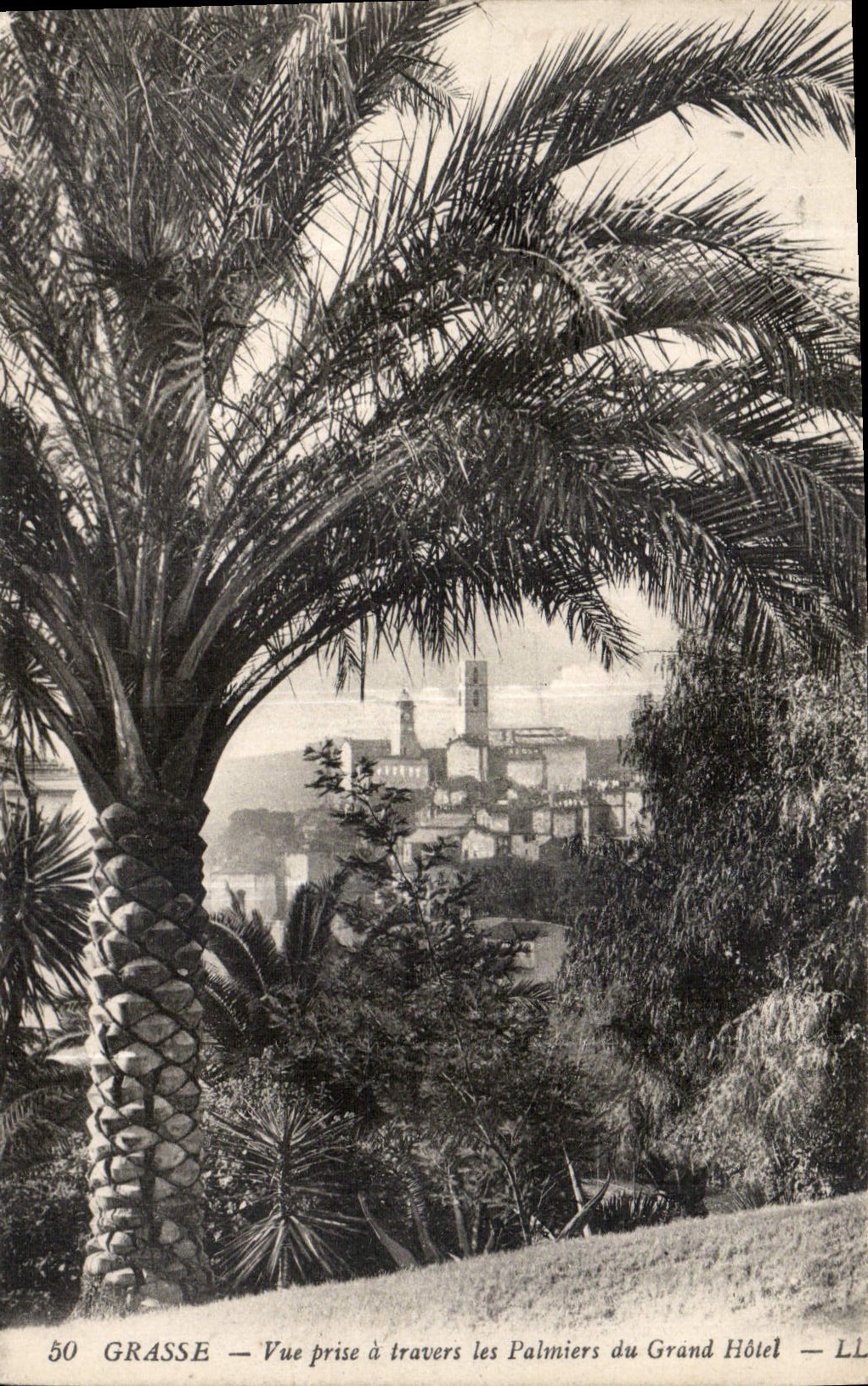 CPA Grasse Vue prise a travers les Palmiers du Grand Hotel 