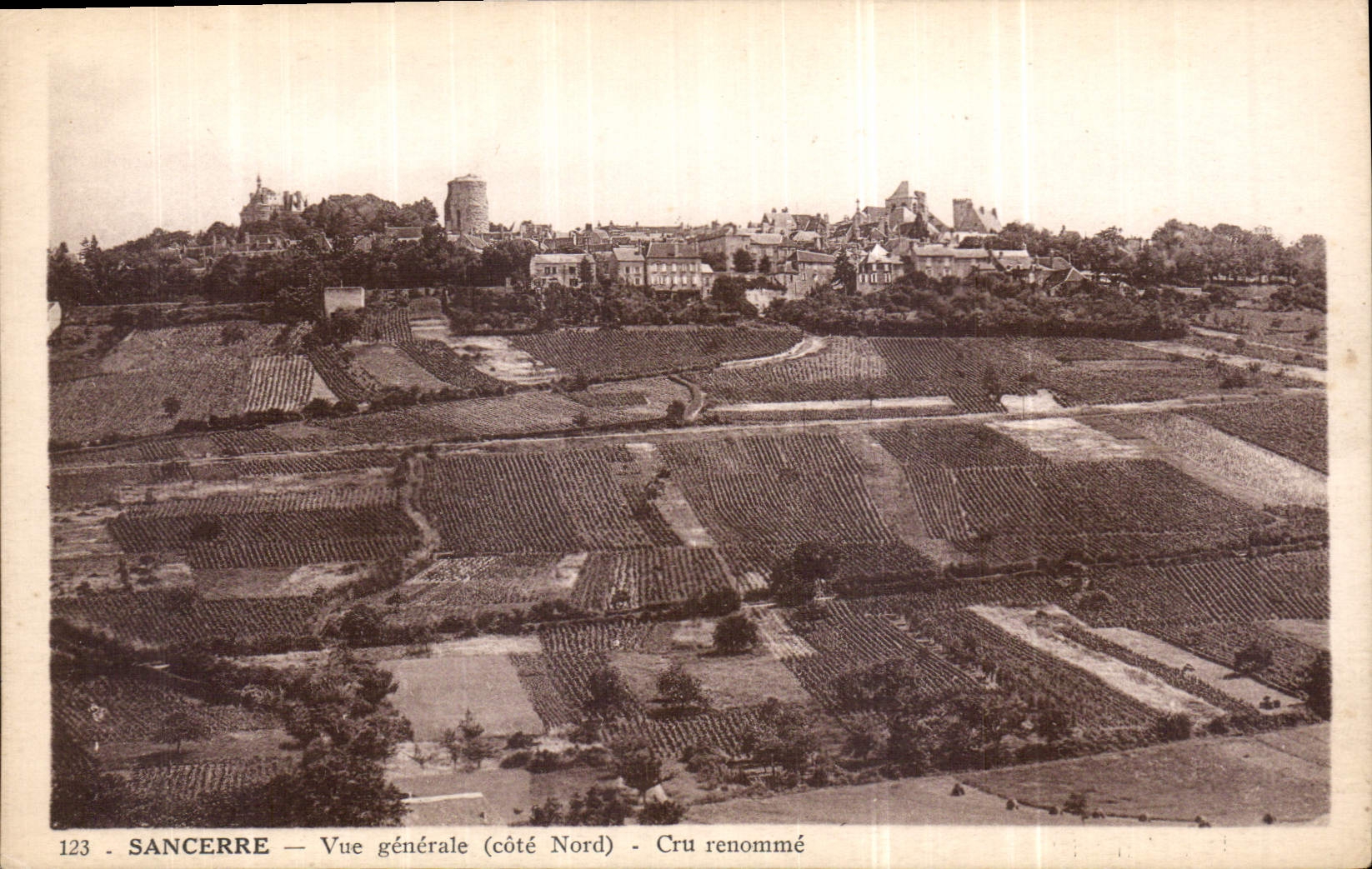CPA Sancerre Vue generale cote Nord Cru renomme 