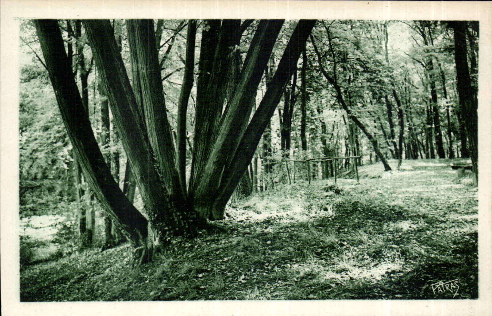 CPA Chateau de Voisins Louveciennes Sous Bois 
