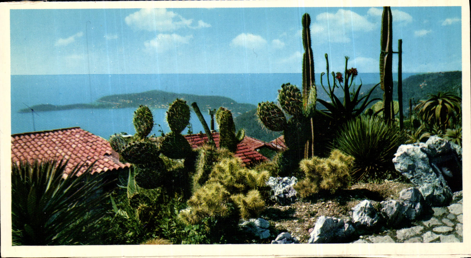 CPM Le Jardin exotique au fond le Cap Ferrat 