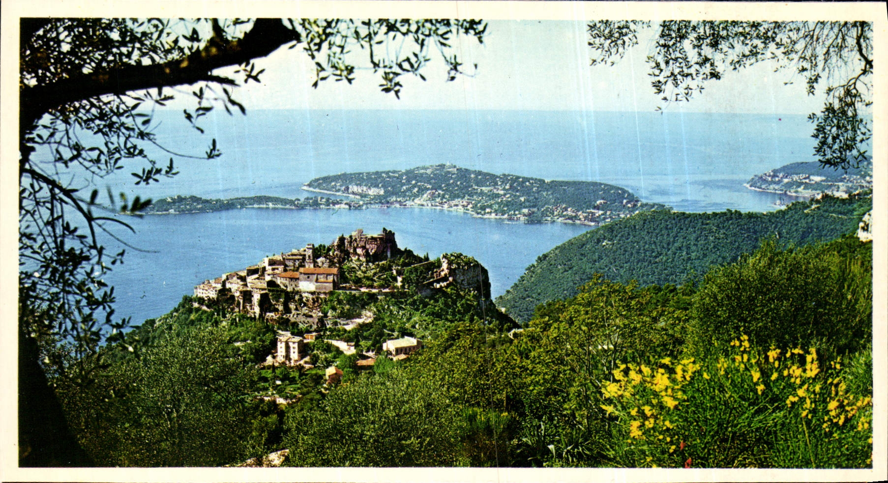 CPM Vue generale au fond le Cap Ferrat 