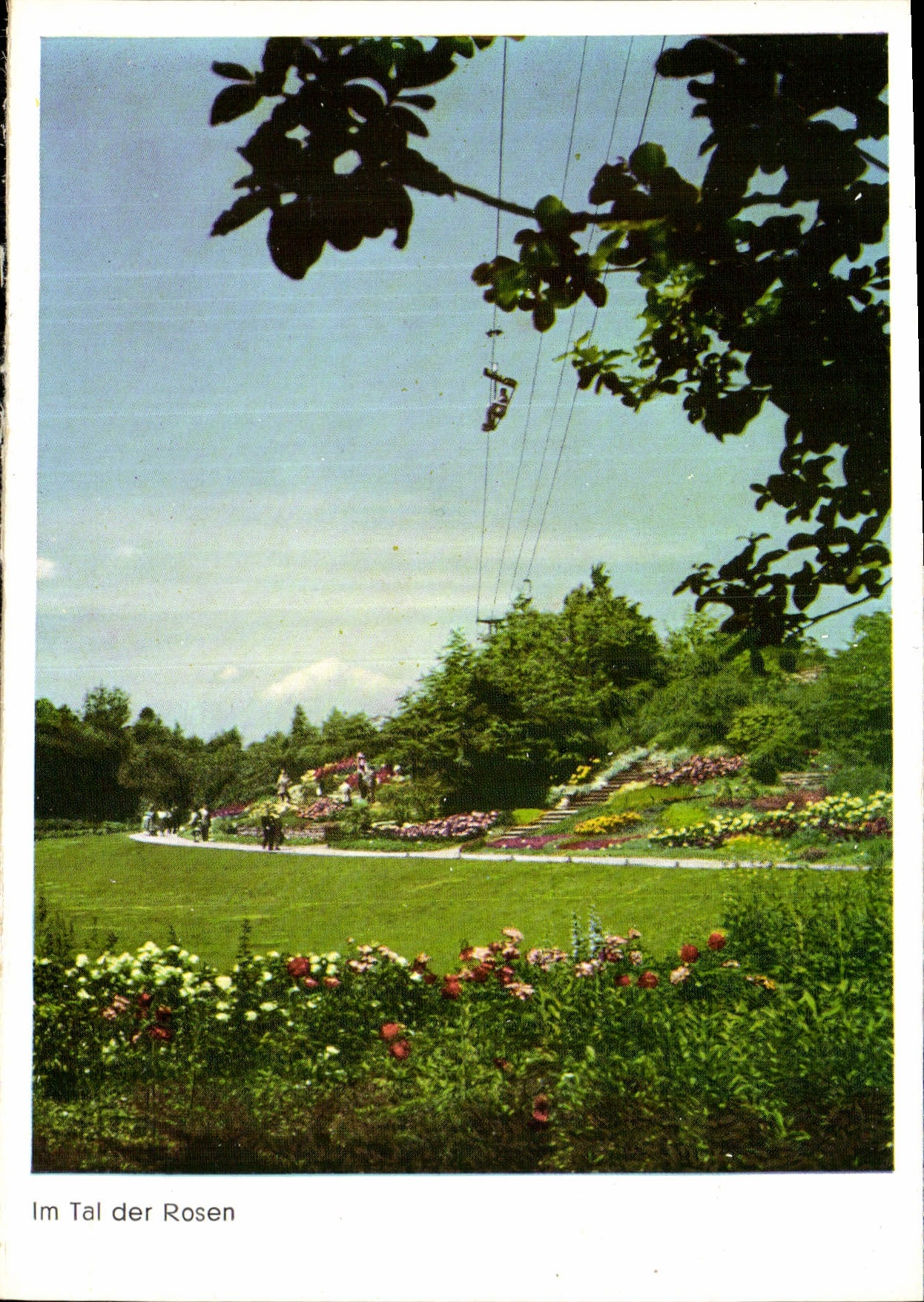 CPM Hohenpark Killesberg Im Tal del Rosen 