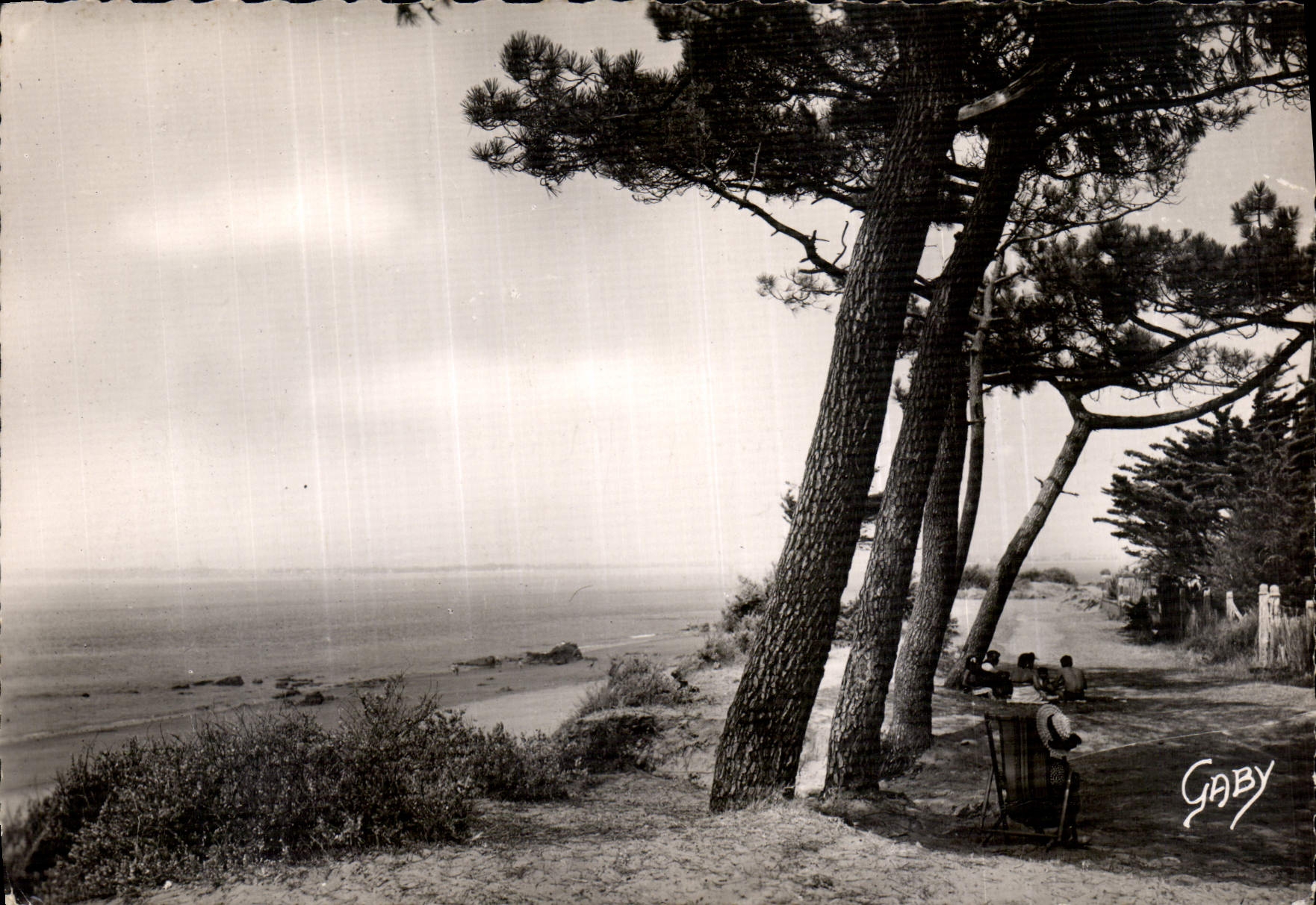 CPM Saint Brevin l'Ocean L Inf La Plage du Pointeau et les Pins 