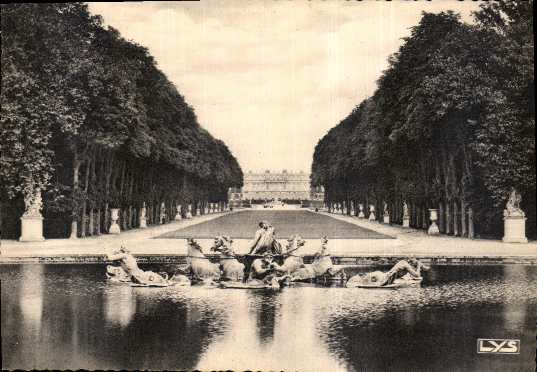CPM Versailles Allee Royale et Bassin d'Apollon 