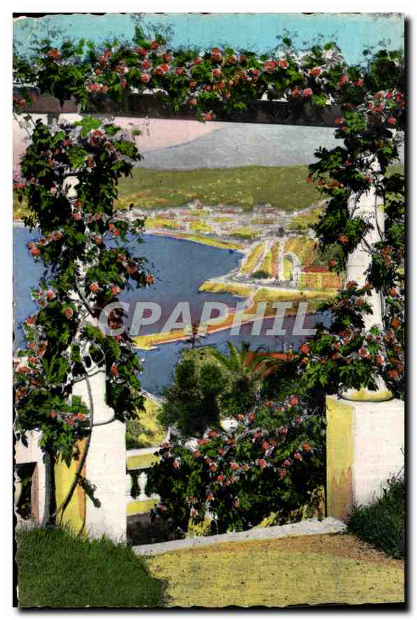 CPM Nice Entre Fleurs 