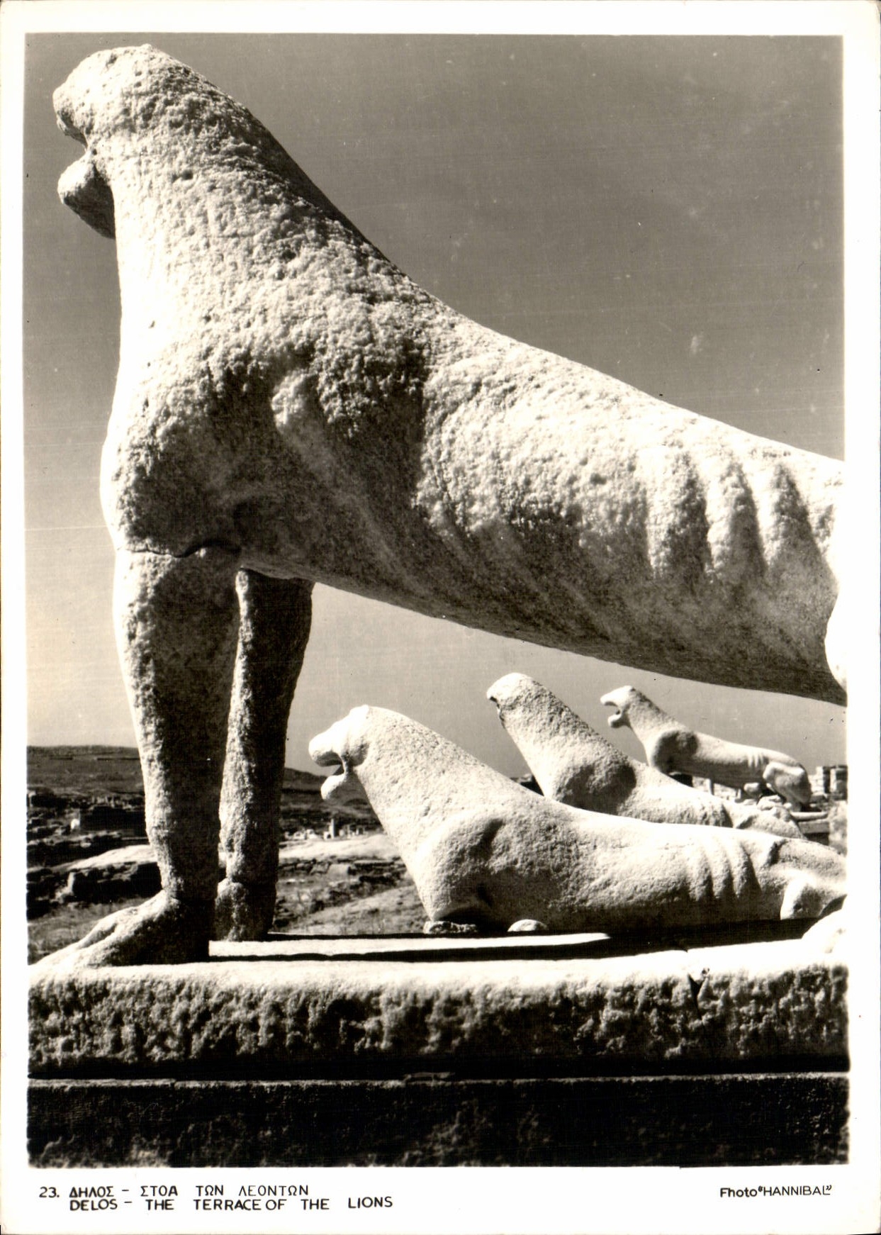 CPM Delos The Terrace of the Lions 