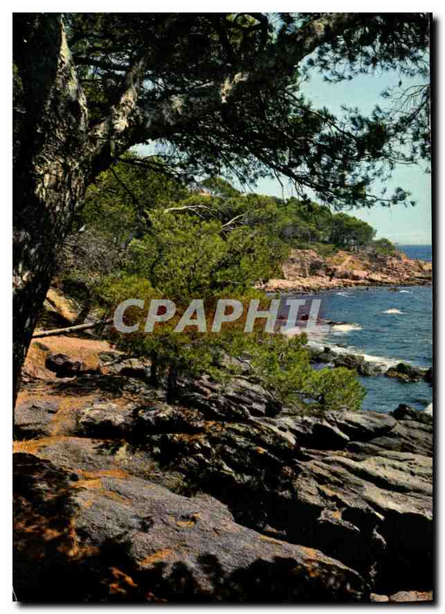 CPM Pinede et Calanque de la Cote d'Azur 