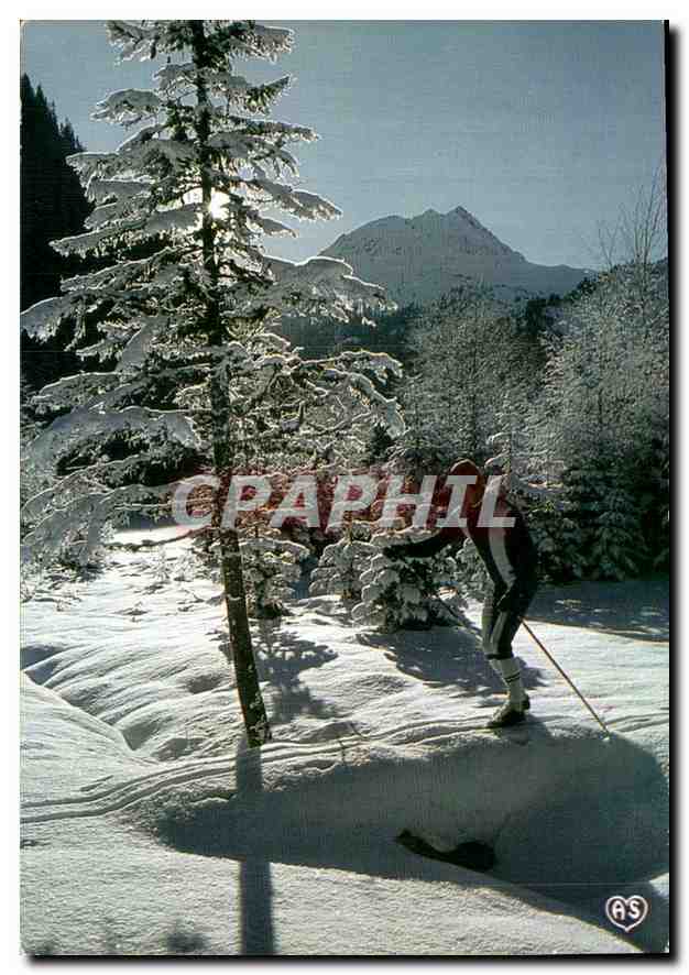 CPM Image de nos montagnes en hiver Promenade en foret 
