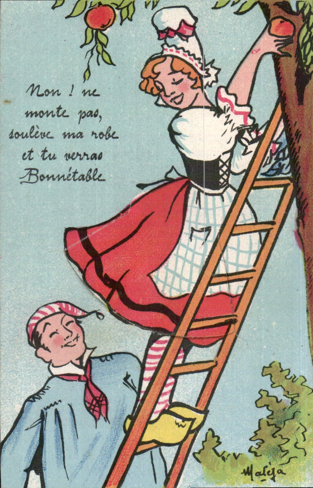 CARTE SYSTEME Non ne monte pas soulive ma robe et tru verras Bonnetable 