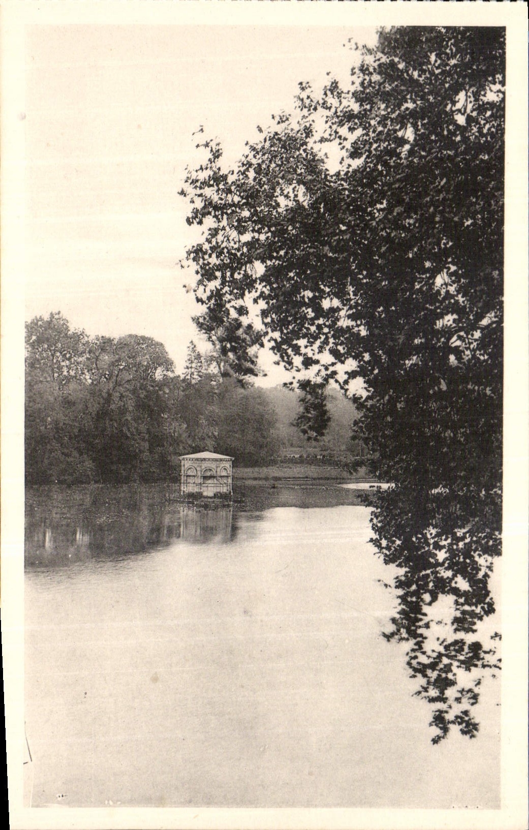 Schloss Fontainebleau — Der Karpfenteich — Ansichtskarte Nr. 142