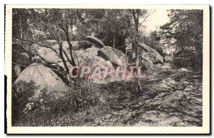 Die Gorges de Franchart — Forêt de Fontainebleau — Ansichtskarte Nr. 51