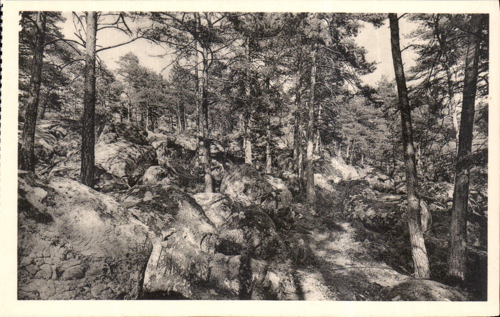 Foresta di Fontainebleau — Le Gorges d'Apremont — CPAPHIL