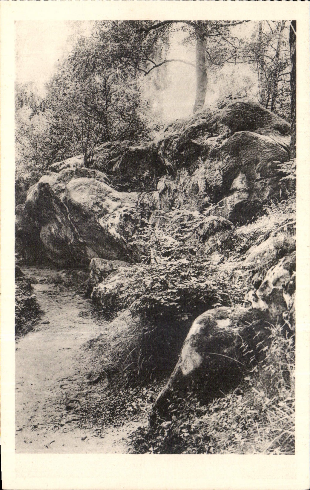 Wald von Fontainebleau — La Roche Éponge — CPAPHIL n°152